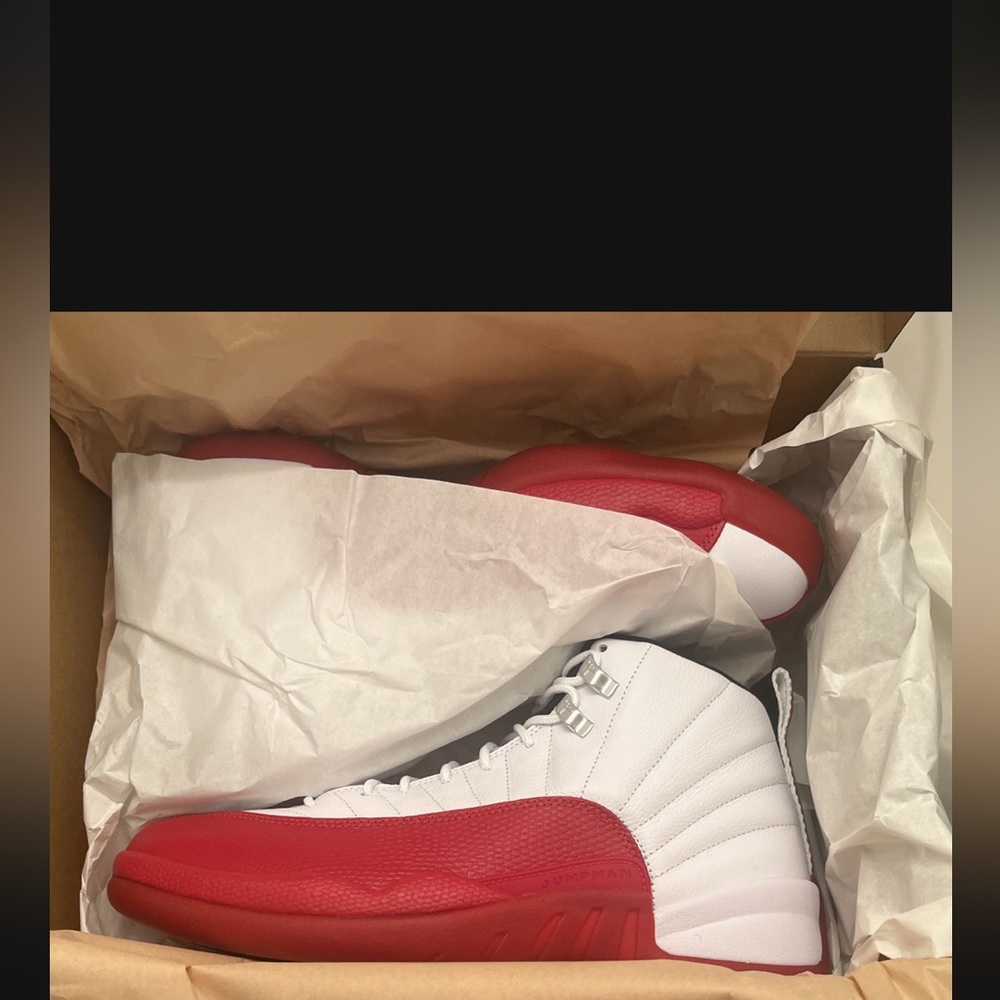 Jordan 2023 cherry sz 10.5